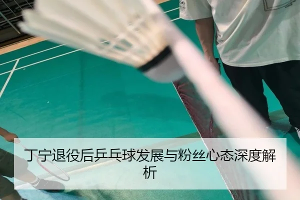 丁宁退役后乒乓球发展与粉丝心态深度解析